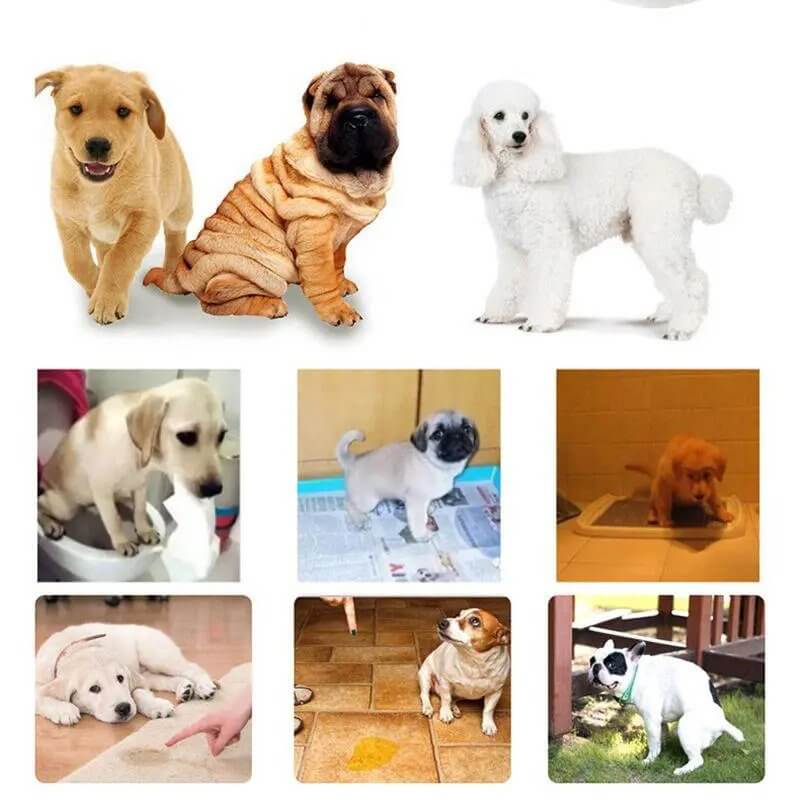 House Training Pet Spray