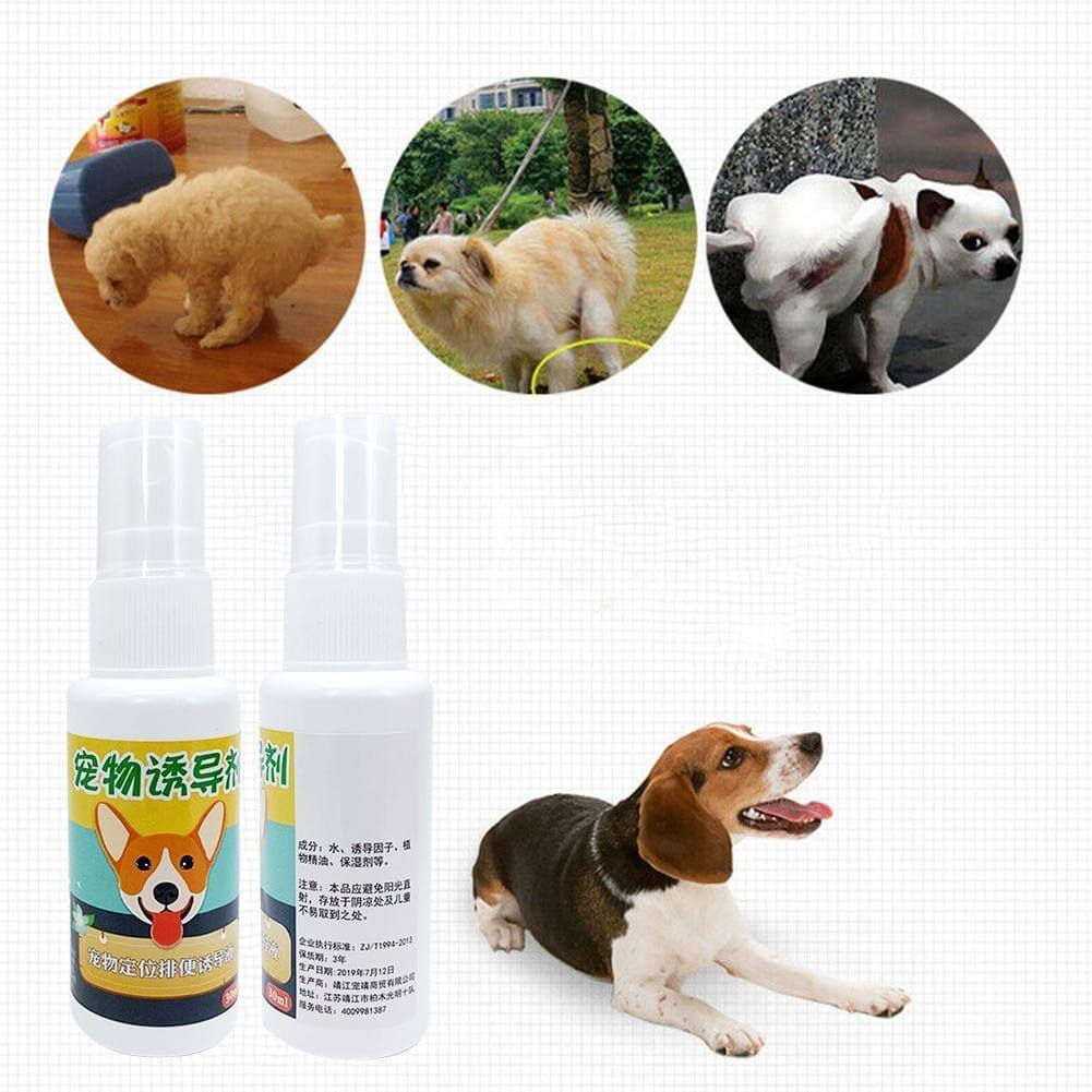 House Training Pet Spray
