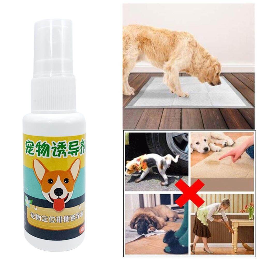 House Training Pet Spray